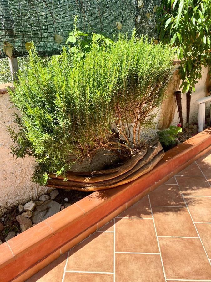 Bed and Breakfast L'Oasi Di Chia Exterior foto